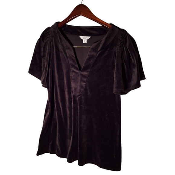 Black Velvet Velour Notch Neck Popover Shirt Ladies XS Crown Ivy Gothic Witchy - Picture 2 of 5